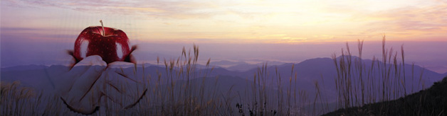 naturopathic